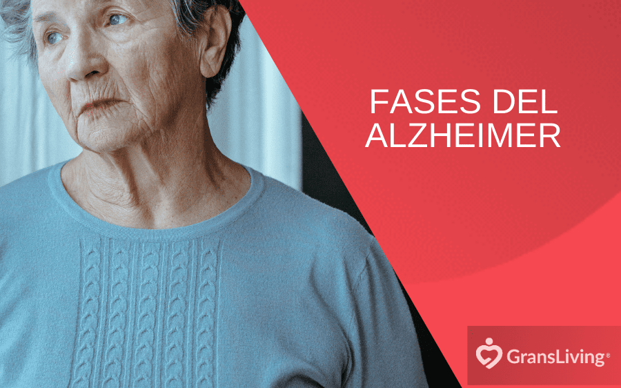 5 Fases del Alzheimer